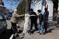 13.04.2017 года произведена побелка деревьев по улице Ленина.
