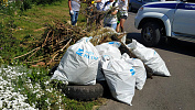 Бутурлиновцы приняли участие в  масштабной экологической акции "Чистый берег"